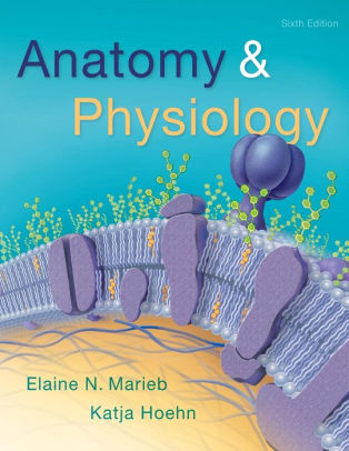 Anatomy & Physiology 6th Edition by Elaine N. Marieb