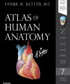 Atlas of Human Anatomy 7th Edition By Frank H. Netter
