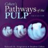 Cohen's Pathways of the Pulp Expert Consult 10th Ed By Louis H. Berman