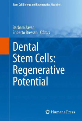 Dental Stem Cells - Regenerative Potential by Barbara Zavan