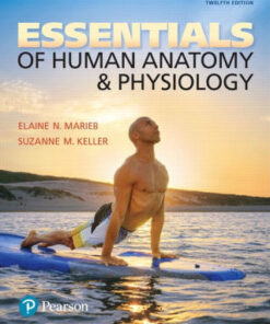 Essentials of Human Anatomy & Physiology 12th Edition by Marieb