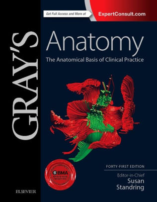 Gray's Anatomy - The Anatomical Basis 41th Ed by Standring