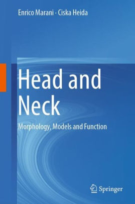 Head and Neck - Morphology