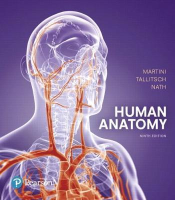 Human Anatomy 9th Edition By Frederic H. Martini