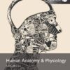 Human Anatomy & Physiology by Erin C. Amerman