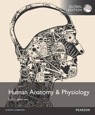 Human Anatomy & Physiology by Erin C. Amerman