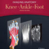 Imaging Anatomy - Knee