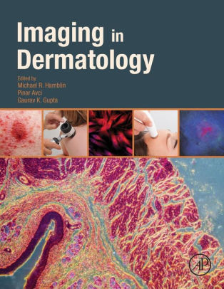 Imaging in Dermatology by Michael R. Hamblin