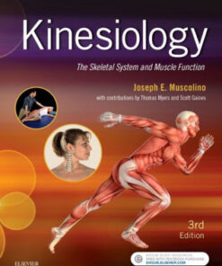 Kinesiology - The Skeletal System and Muscle Function 3 by Muscolino