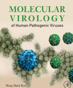 Molecular Virology of Human Pathogenic Viruses by Wang Shick Ryu