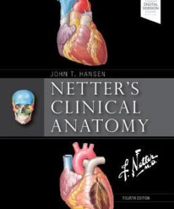 Netter's Clinical Anatomy 4th Edition by John T. Hansen