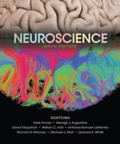 Neuroscience 6th Edition by Dale Purves