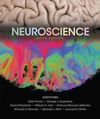 Neuroscience 6th Edition by Dale Purves