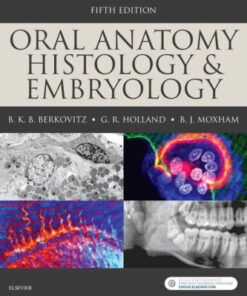 Oral Anatomy