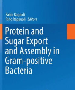 Protein and Sugar Export and Assembly by Fabio Bagnoli