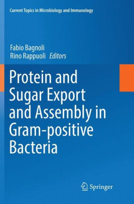 Protein and Sugar Export and Assembly by Fabio Bagnoli