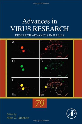 Research Advances in Rabies By Alan C. Jackson