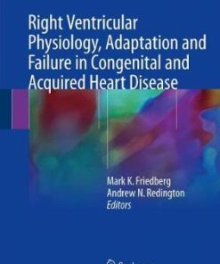 Right Ventricular Physiology by Mark K. Friedberg
