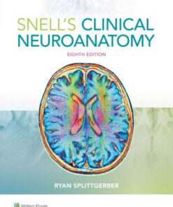 Snell's Clinical Neuroanatomy 8th Edition by Ryan Splittgerber