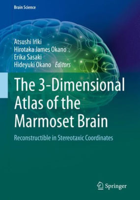 The 3 Dimensional Atlas of the Marmoset Brain by Atsushi Iriki