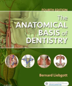 The Anatomical Basis of Dentistry 4th Edition by Bernard Liebgott