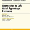 Approaches to Left Atrial Appendage Exclusion